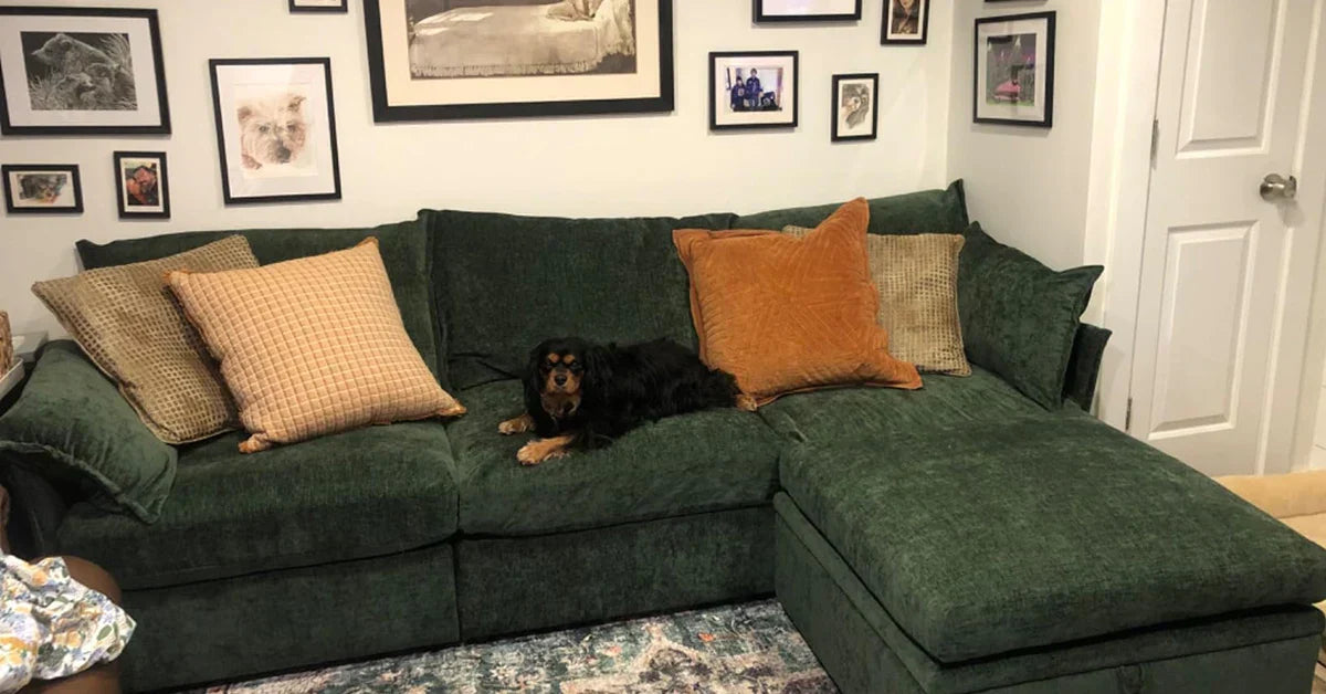 ABCASA Huddle Sofa: Our Customers’ Favorite Picks by Color