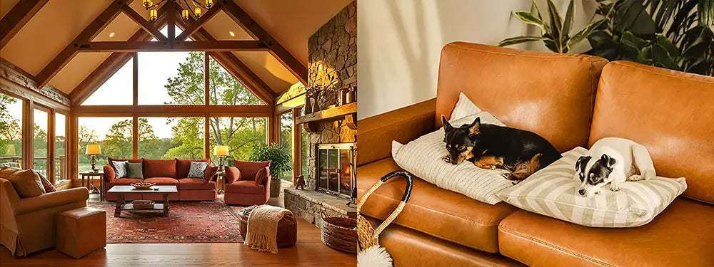 ABCASA Huddle sofa and accent chair in a large farmhouse living room, and a close-up of two dogs on the Alba leather couch.